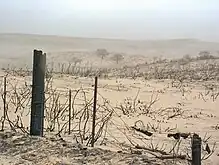 McClellan Creek National Grassland after the 2006 fire