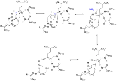 Arrow pushing mechanism for the reaction catalyzed by ATase.