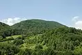 Top of the mountain Medvednik