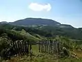 Mountain Medvednik in summer