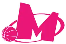 Mega MIS logo