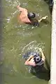 Boys searching for dropped items under the bridge