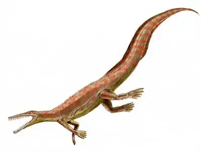 Pencil drawing of Mesosaurus, with digital coloring.