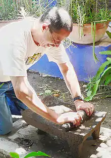 Use of a Mexican metate