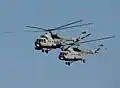 Mi-171Sh combat-transport helicopters