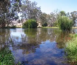 Mitta Mitta River, downstream from Dartmouth Dam, 2007