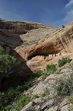 Monarch Cave Ruin cliff dwelling on Comb Ridge