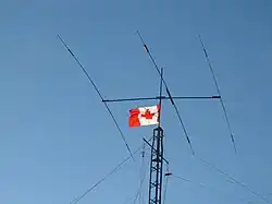 A Yagi-Uda antenna. From left to right, the elements mounted on the boom are called the reflector, driven element, and director. The reflector is easily identified as being a bit longer (5% or more) than all the other elements, and the director(s) a bit shorter (5% or more).