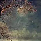 Dying leaves on an old tree in fall with moon far in the background