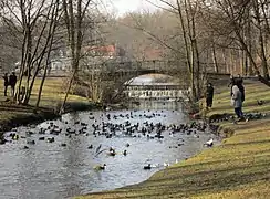 Poznań has many parks, large botanical garden and palm house. Scene at Sołacki Park.