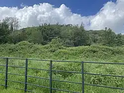 Morganstown Castle Mound