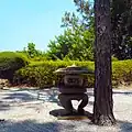 Stone Lantern and Pine Tree