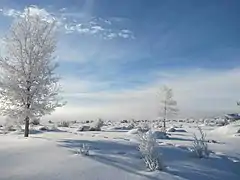 Morning freezing fog in Elko, Nevada