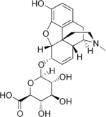 Chemical structure of Morphine 6-glucuronide.