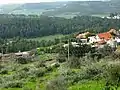 Moshav Aviezer as seen from ruin, Um Ra'us (southern site)