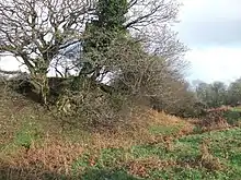 Motte and bailey castle, Eglwyswrw