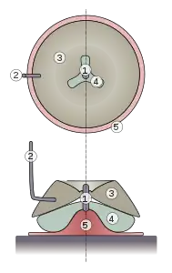 Cross-section of a dacique arm mill 1- Pivot 2- Lever 3- Running wheel 4- Lying wheel 5- Support