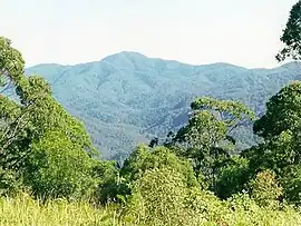 Mount Banda Banda headwaters of the Wilson River, to the west of Rollands Plains.