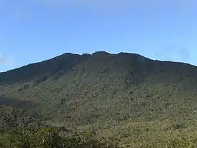 Mount Hamiguitan.