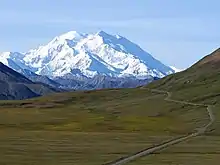 Denali seen through a green field