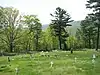 Mount Pisgah Benevolence Cemetery