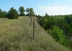 Mowry Bluff Archeological Site