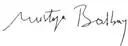 Signature of Mustafa Balbay