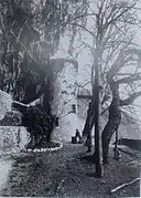 Early view of a castle tower against a rock face, with a courtyard planted with some trees in front.