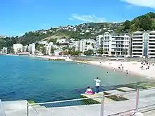 Beach at Oriental Bay