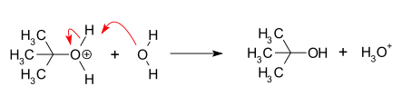 Proton transfer forming the alcohol