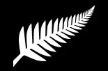 Silver Fern (Black & White)