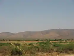 The Nallamallas from a distance during the dry season