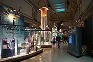 Hall of Ocean Life