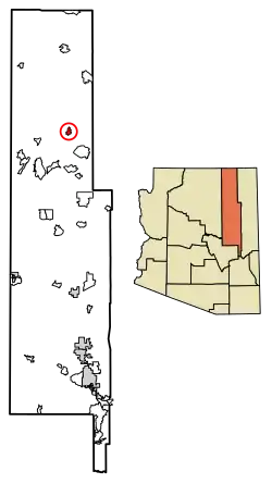 Location of Pinon in Navajo County, Arizona.