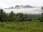 There is a field with tall grass and trees and a small wooden hut in the front, and steep cliffs in the back.