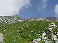 View from Edmund-Probst-Haus to the Nebelhorn