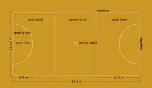 Diagram of netball court. Court is divided into thirds. Dimensions list on diagram. Position listed on diagram.