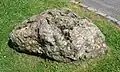 Nettlebed puddingstone