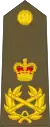 (New Zealand Army)