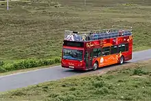 A photograph of a New Forest Tour bus