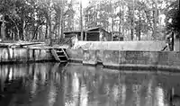 Newport springs and swimming pool (1921)