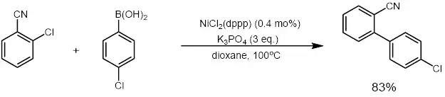 Nickel Suzuki 2