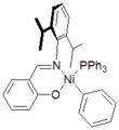 Catalyst supported by anionic Schiff base ligand