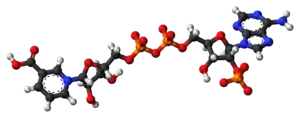 Ball-and-stick model of the NAADP molecule