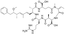 The 2d structure of the Nodularin-R peptide.