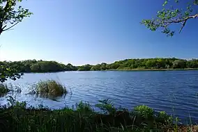  Trinity Broads