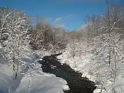 View of the North Branch of the Salmon River, taken from bridge on Harvester Mill Road, north of Redfield, NY in the Tug Hill region, in January of 2009.