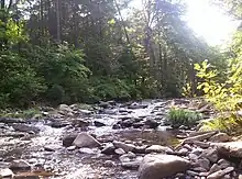 The North River crossing, near Camp Todd