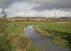 Bowthorpe Marsh