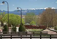 A bridge surrounded by blooming trees